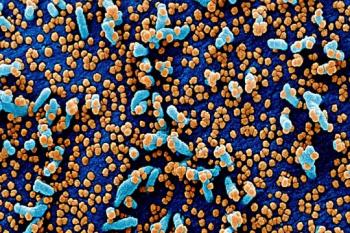 Researchers study nanoparticle-embedded polymers to extend shelf life of foods and beverages