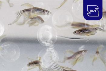 روشی استاندارد برای ارزیابی سمیت نانومواد با استفاده از جنین ماهی